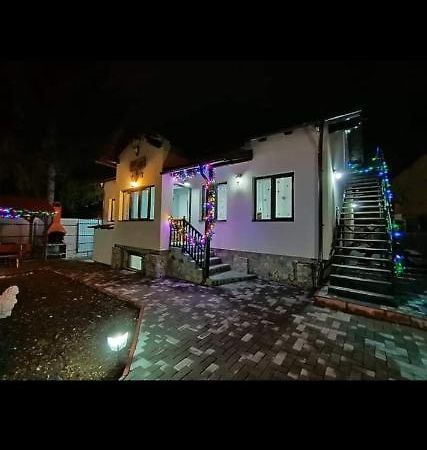 Casa Andy Hotel Buşteni Eksteriør billede