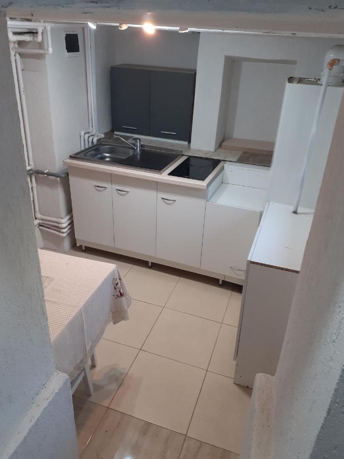 Casa Andy Hotel Buşteni Eksteriør billede