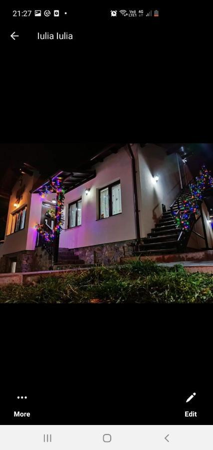 Casa Andy Hotel Buşteni Eksteriør billede
